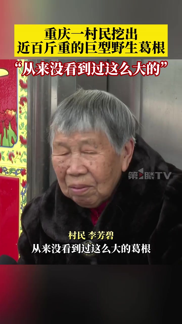 村民挖出近百斤重巨型葛根，长约1.7米，最粗部分周长约120厘米