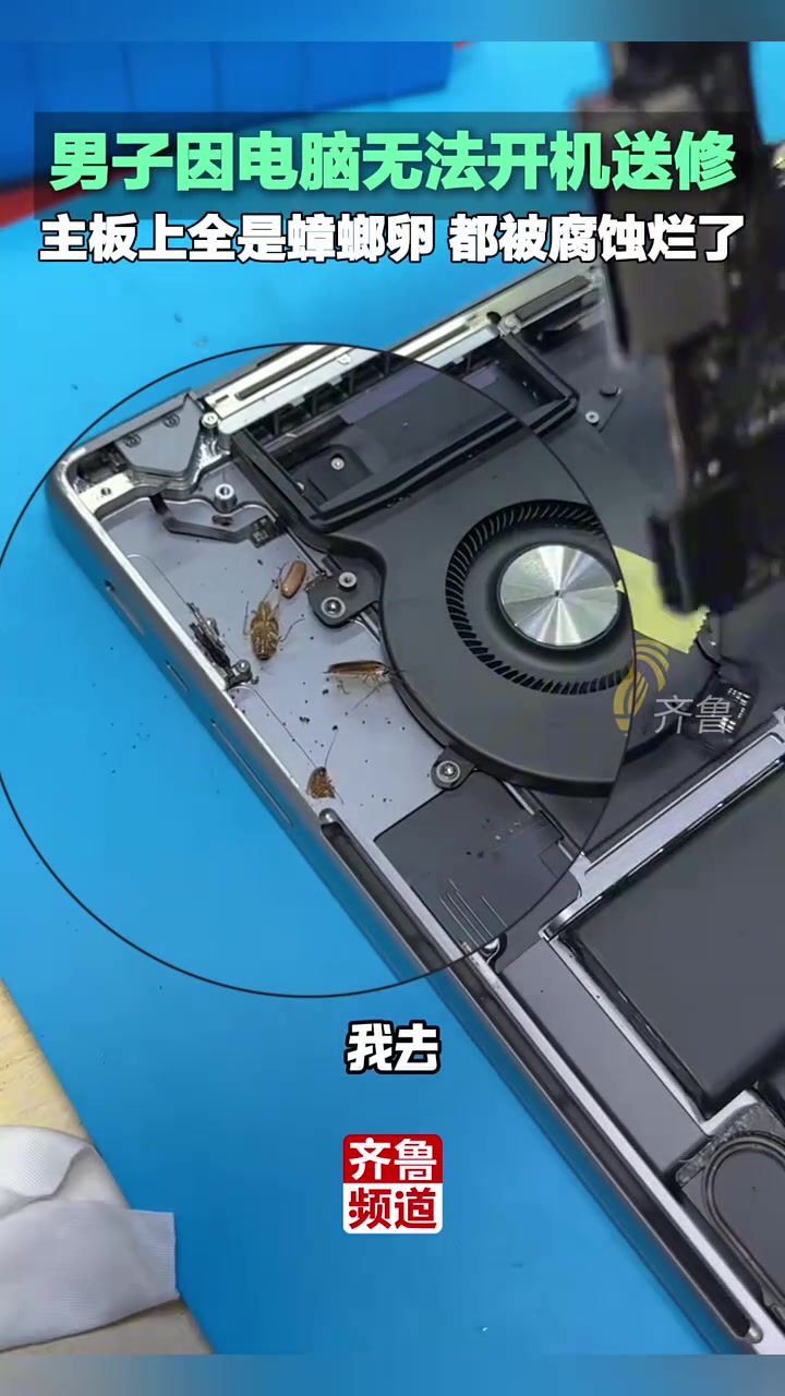 男子因电脑无法开机送修，拆开一看蟑螂到处跑