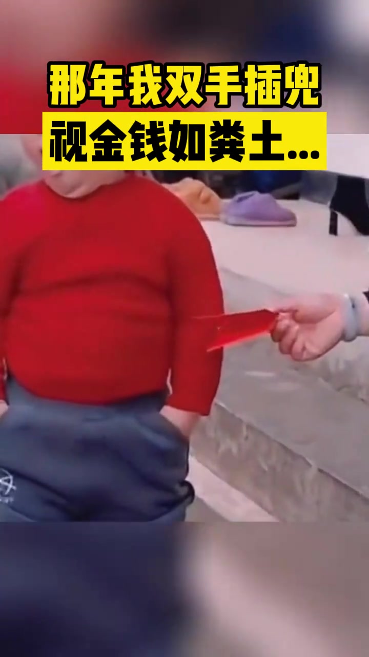 那年我双手插兜视金钱如粪土