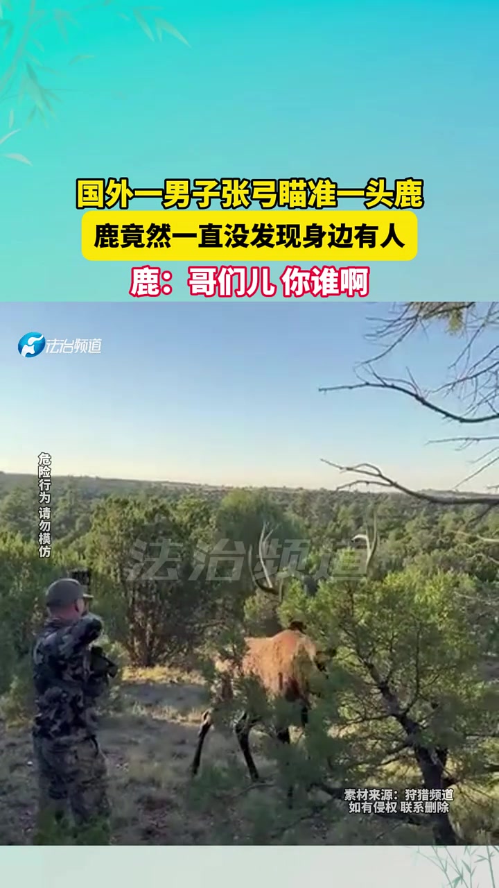 国外一男子张弓瞄准一头鹿，鹿竟然一直没发现身边有人！