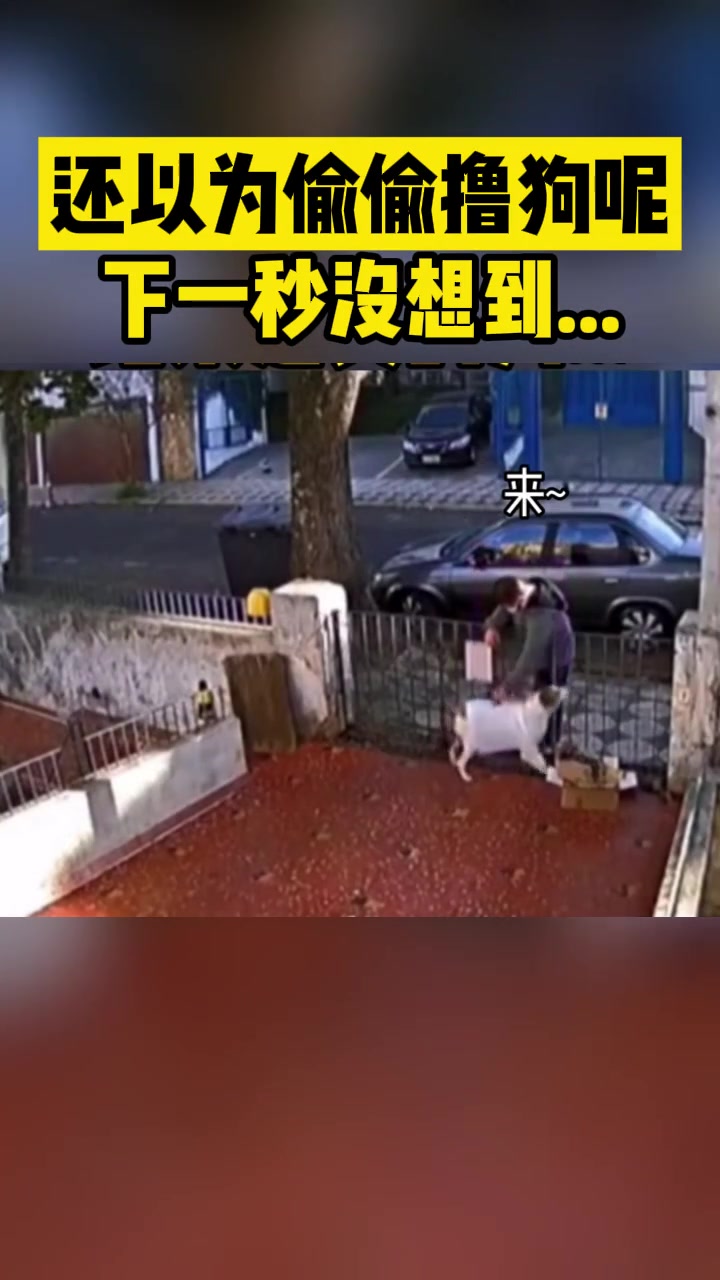 还以为偷偷撸狗呢！结果没想到你是真的狗！