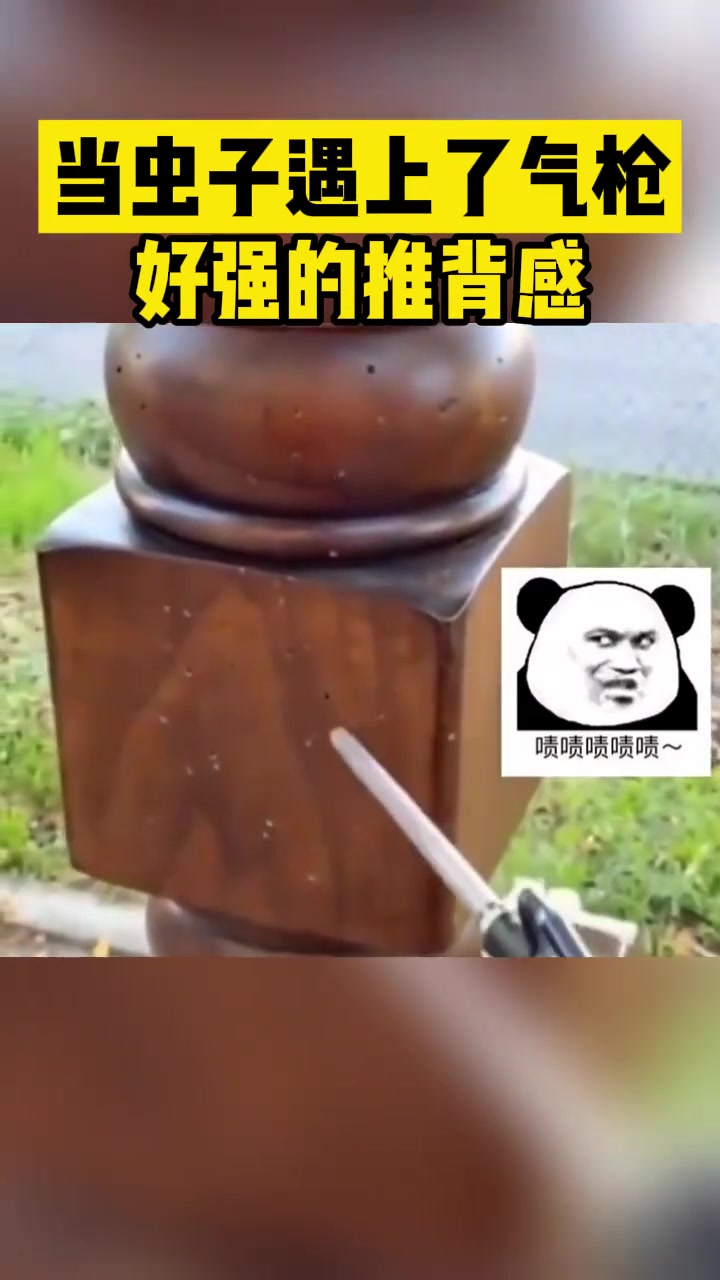 当虫子遇上气枪虫子：好强的推背感啊