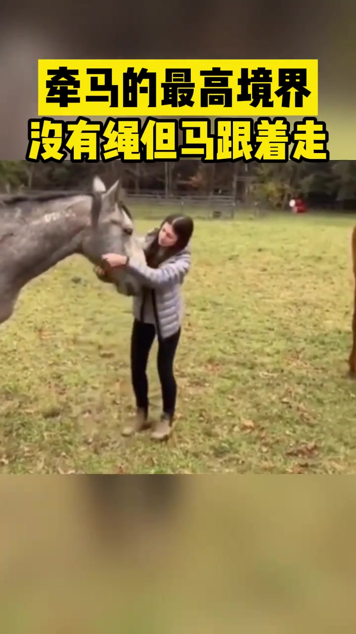 牵马的最高境界：没有绳但马儿跟着走！