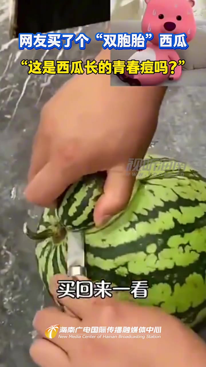 网友买了个“双胞胎”西瓜“这是西瓜长的青春痘吗”