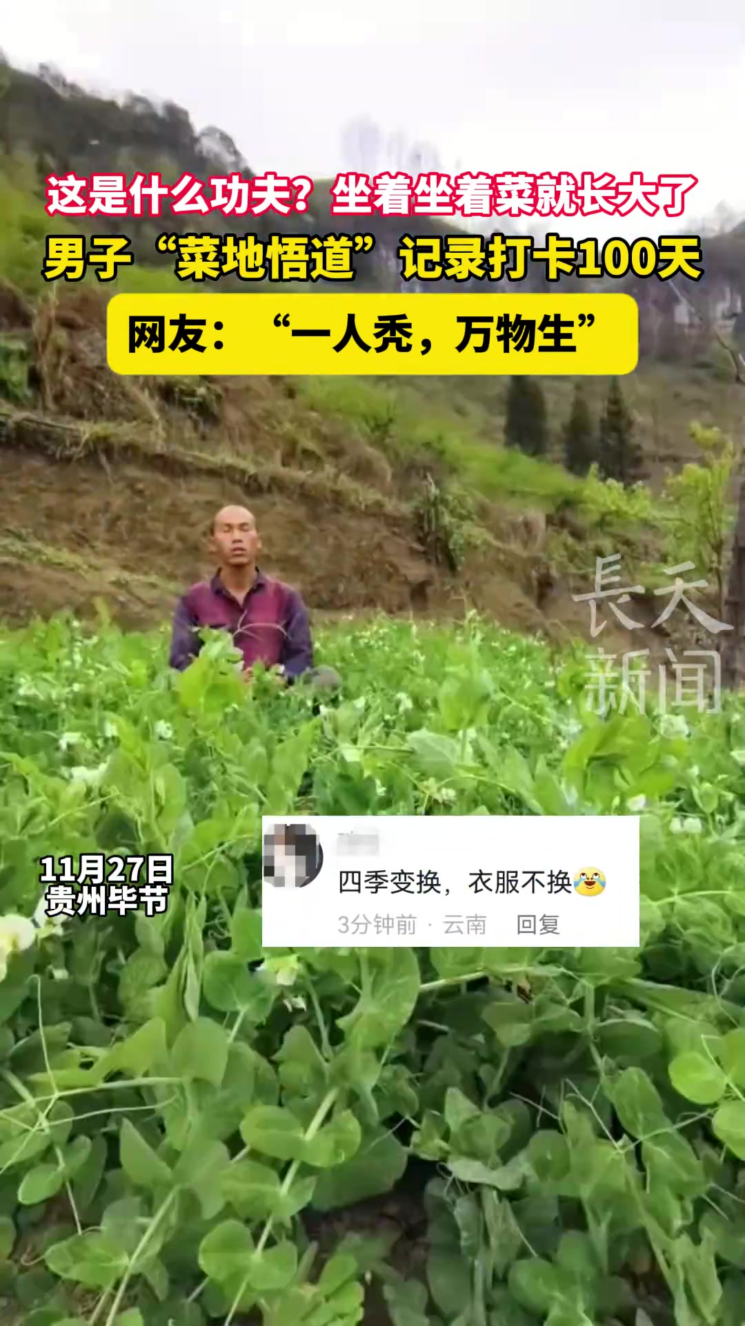 这是什么功夫坐着坐着菜就长大了男子菜地悟道记录打卡100天