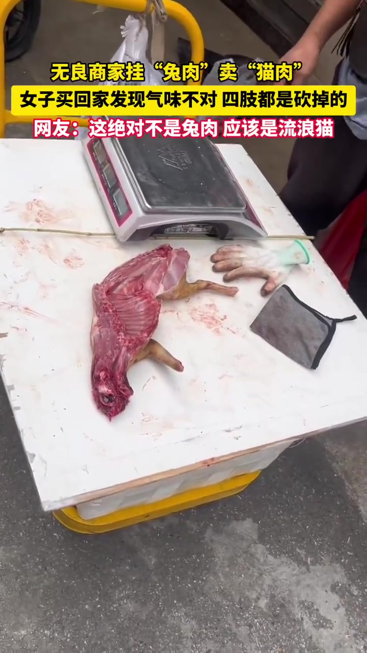 无良商家挂“兔肉”卖“猫肉”