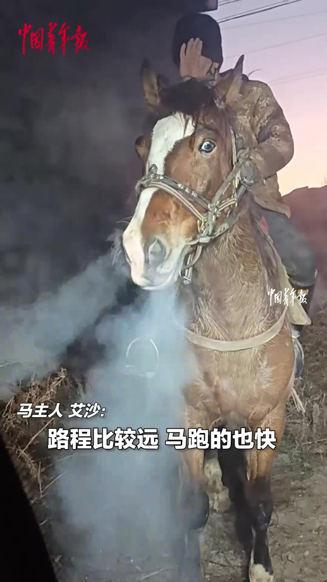 气势满满！马儿陪主人参加完叼羊比赛，鼻子冒出“白烟”