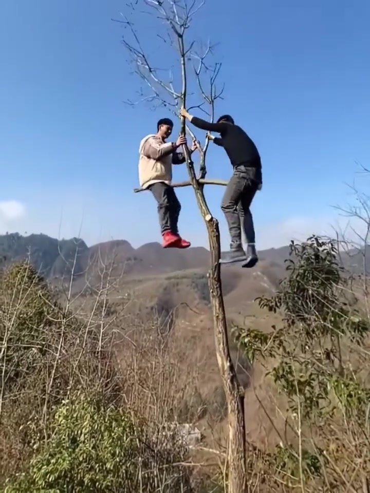 这俩孩子我知道一个叫钢炮一个叫钢蛋