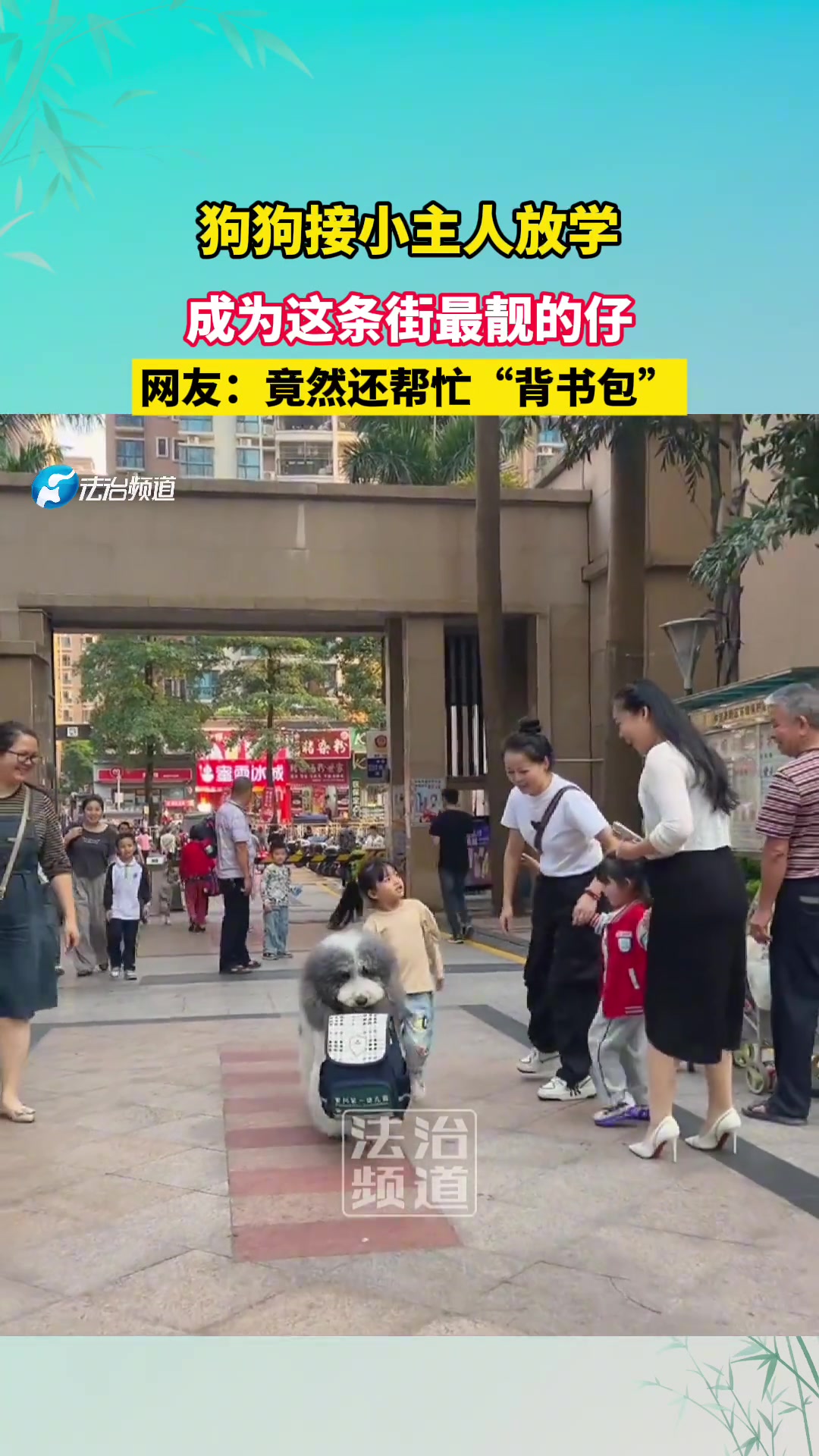 狗狗接小主人放学，成为这条街最靓的仔！