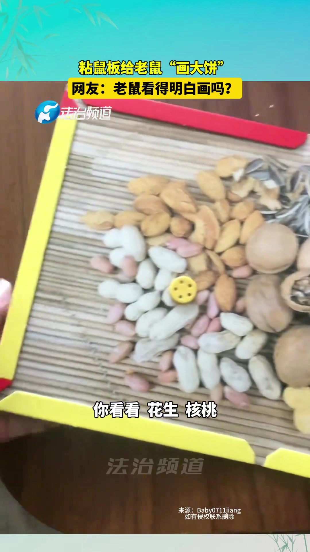 粘鼠板给老鼠“画大饼”