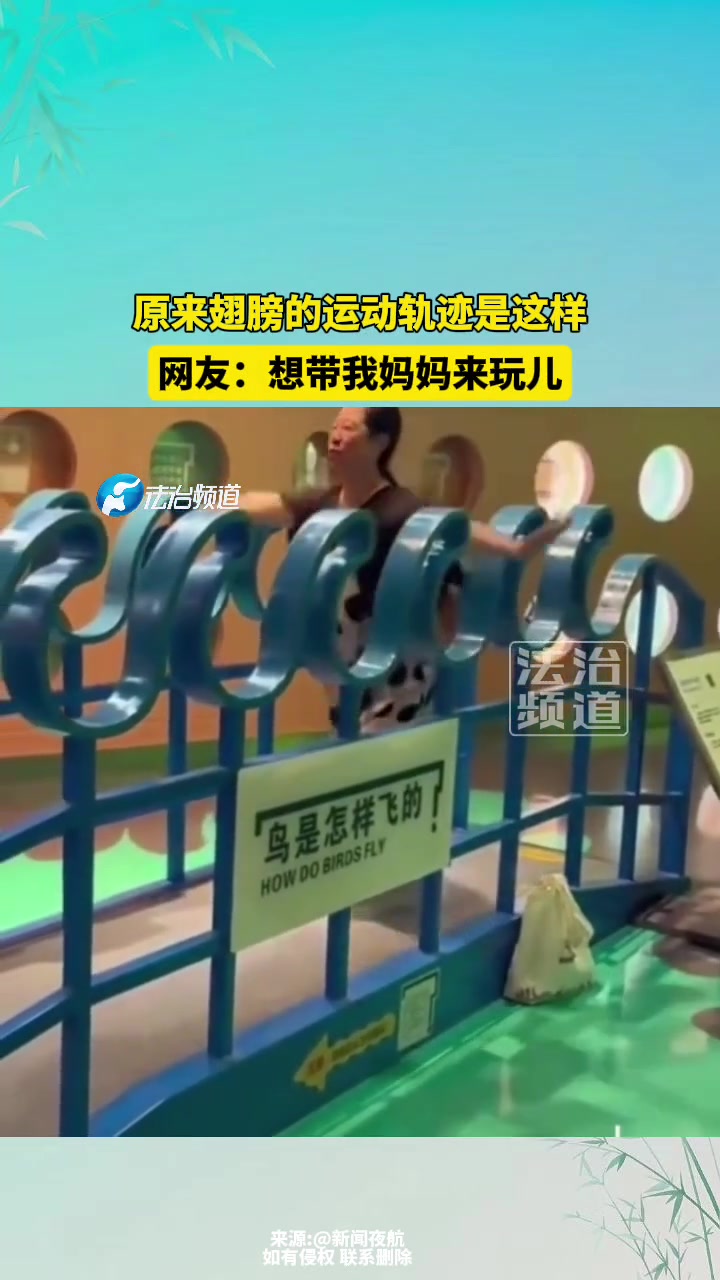 原来翅膀的运动轨迹是这样，网友：想带我妈妈来玩儿