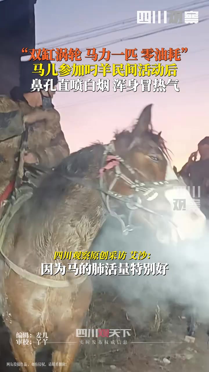 见过涡轮增压的“四驱马”吗