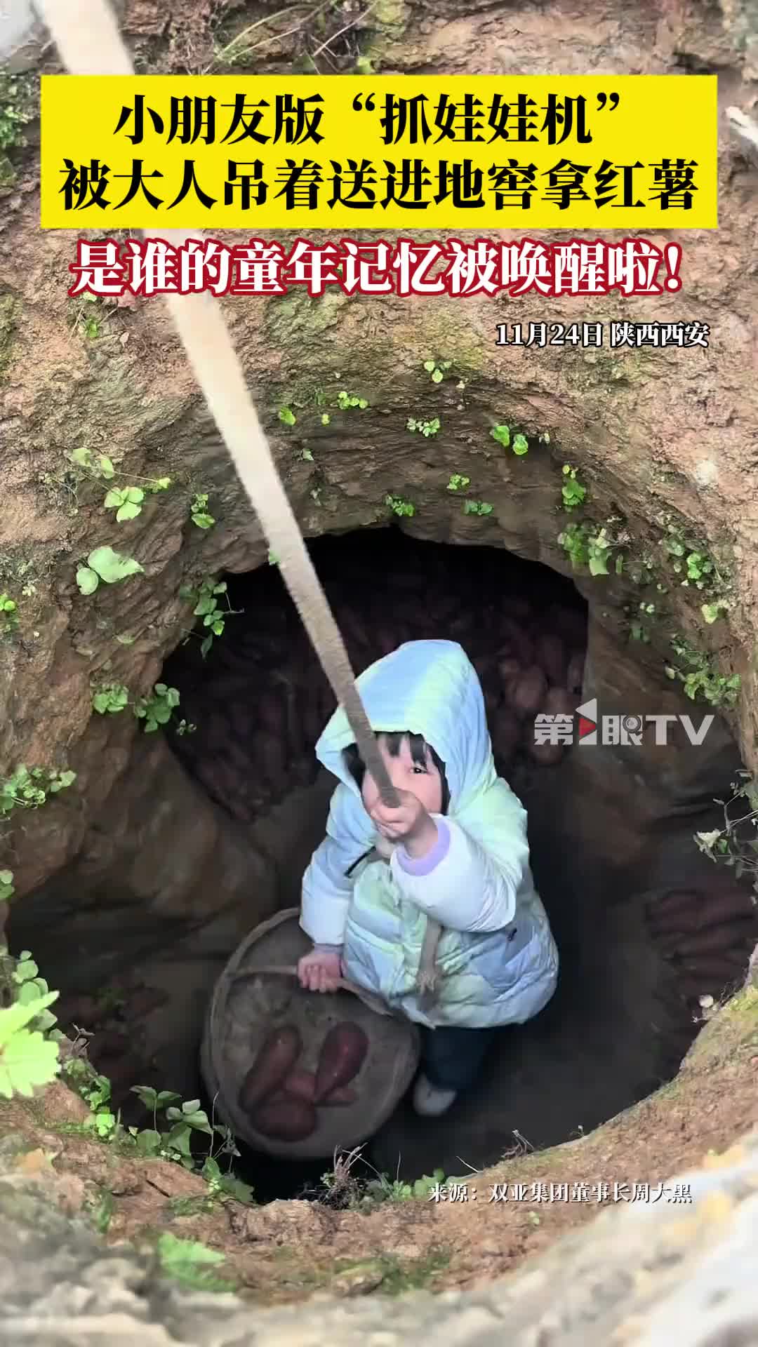 小朋友变身“抓娃娃机”，被大人吊着进地窖拿红薯