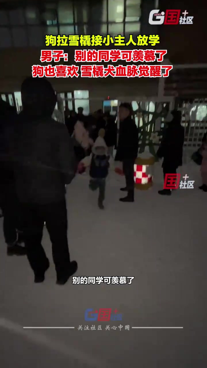 11月27日，黑龙江哈尔滨狗拉雪橇接小主人放学