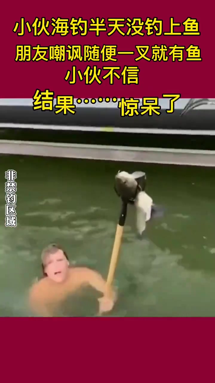 鱼估计得说老六不讲武德了