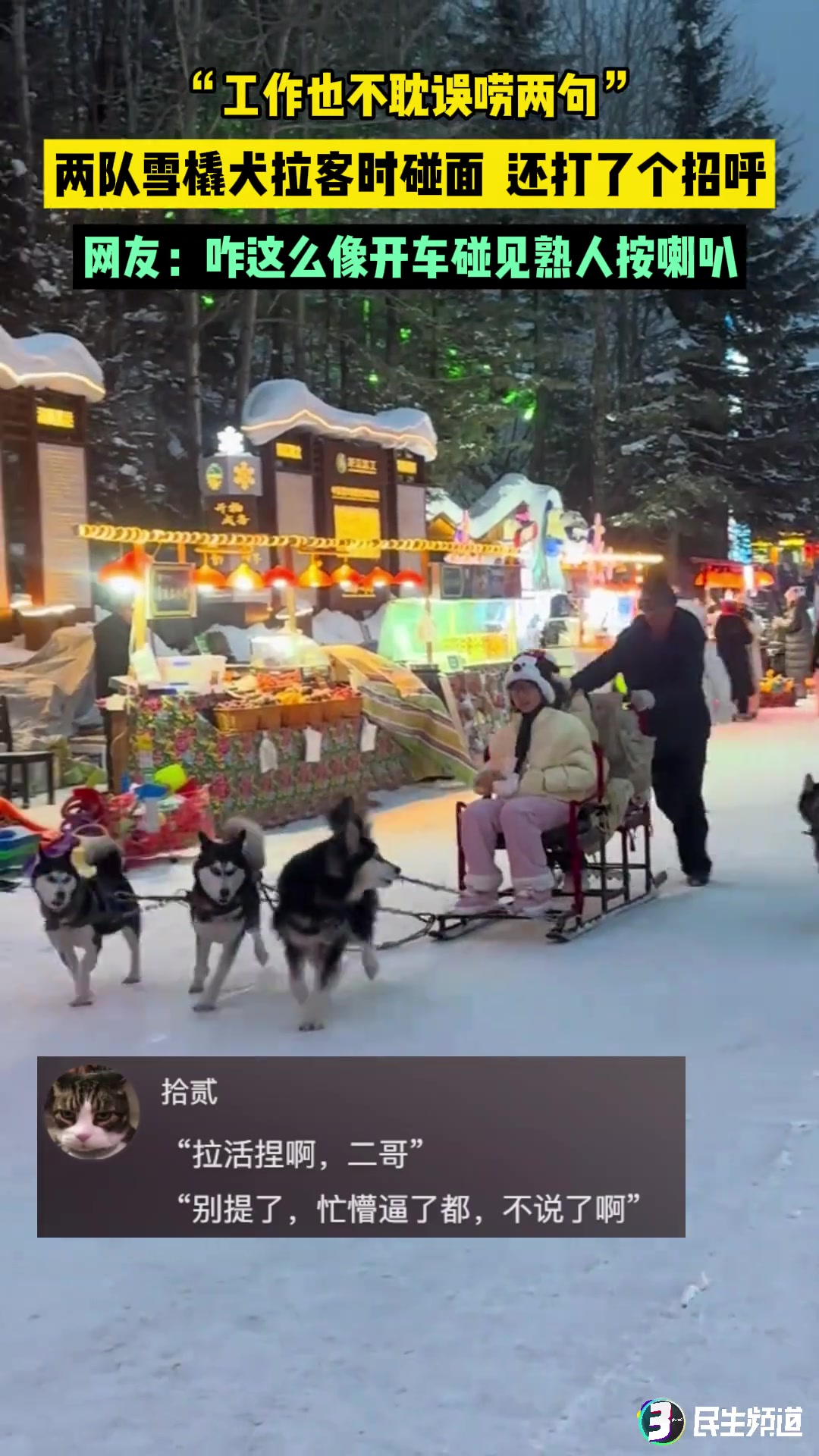 工作也不耽误唠两句”两队雪橇犬拉客时碰面还打了个招呼