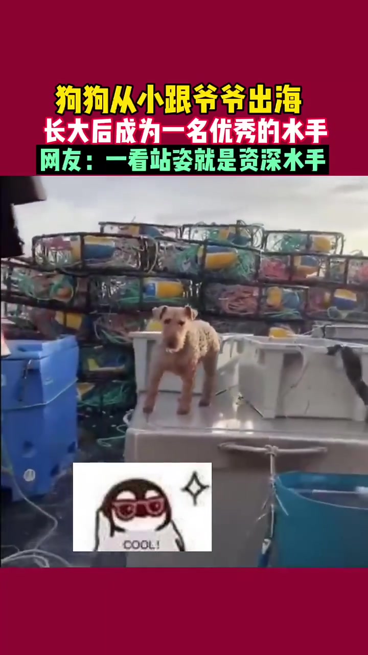 一看站姿就是资深水手
