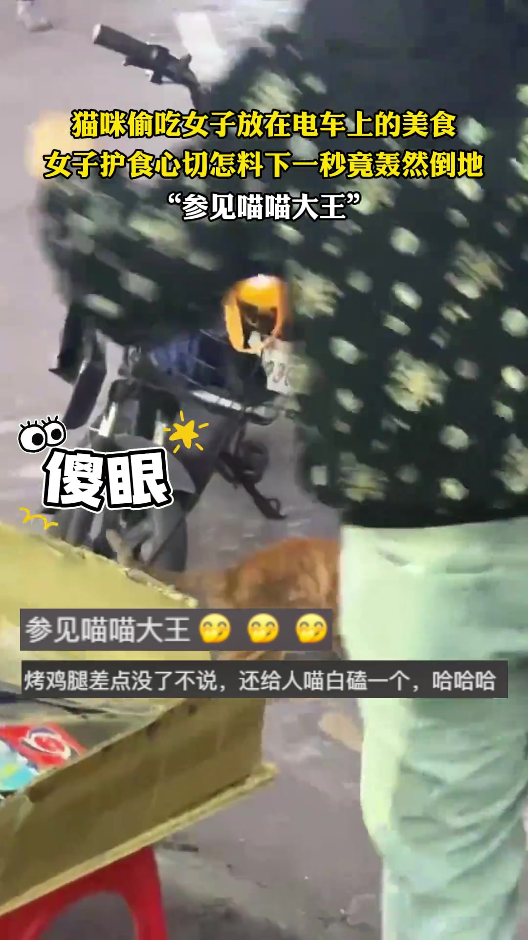 猫咪偷吃女子放在电车上的美食女子护食心切下一秒竟轰然倒地