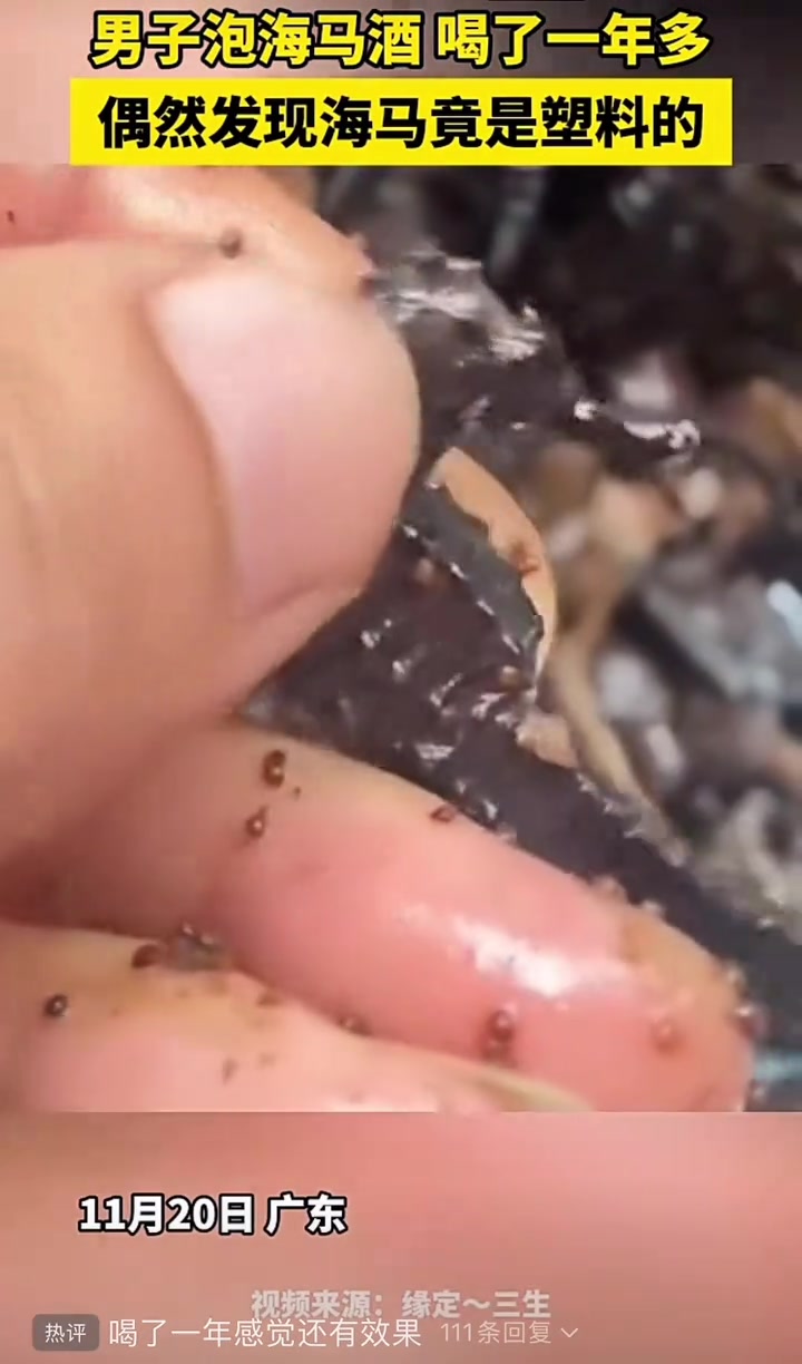 男子泡海马酒喝了一年多偶然发现海马竟是塑料的
