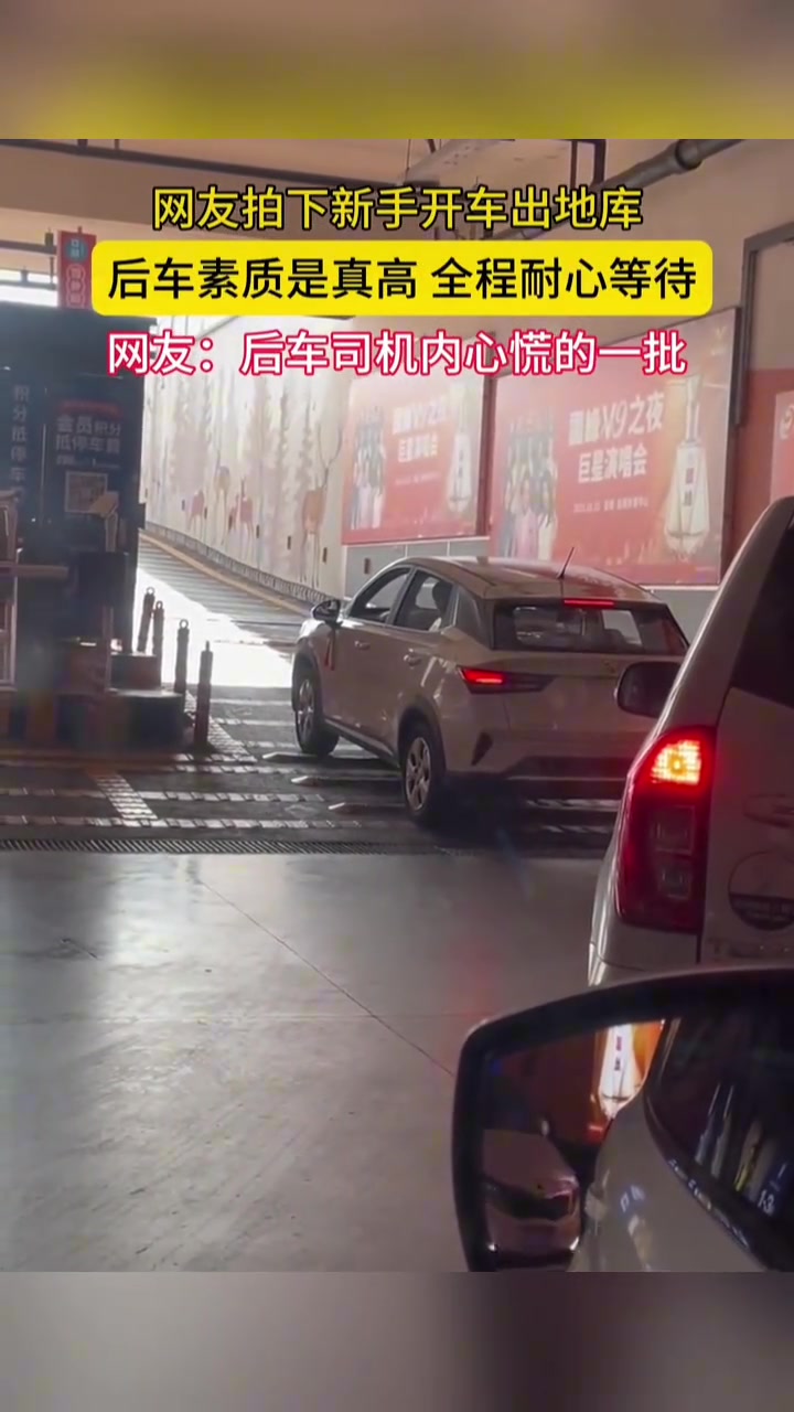 网友拍下新手开车出车库