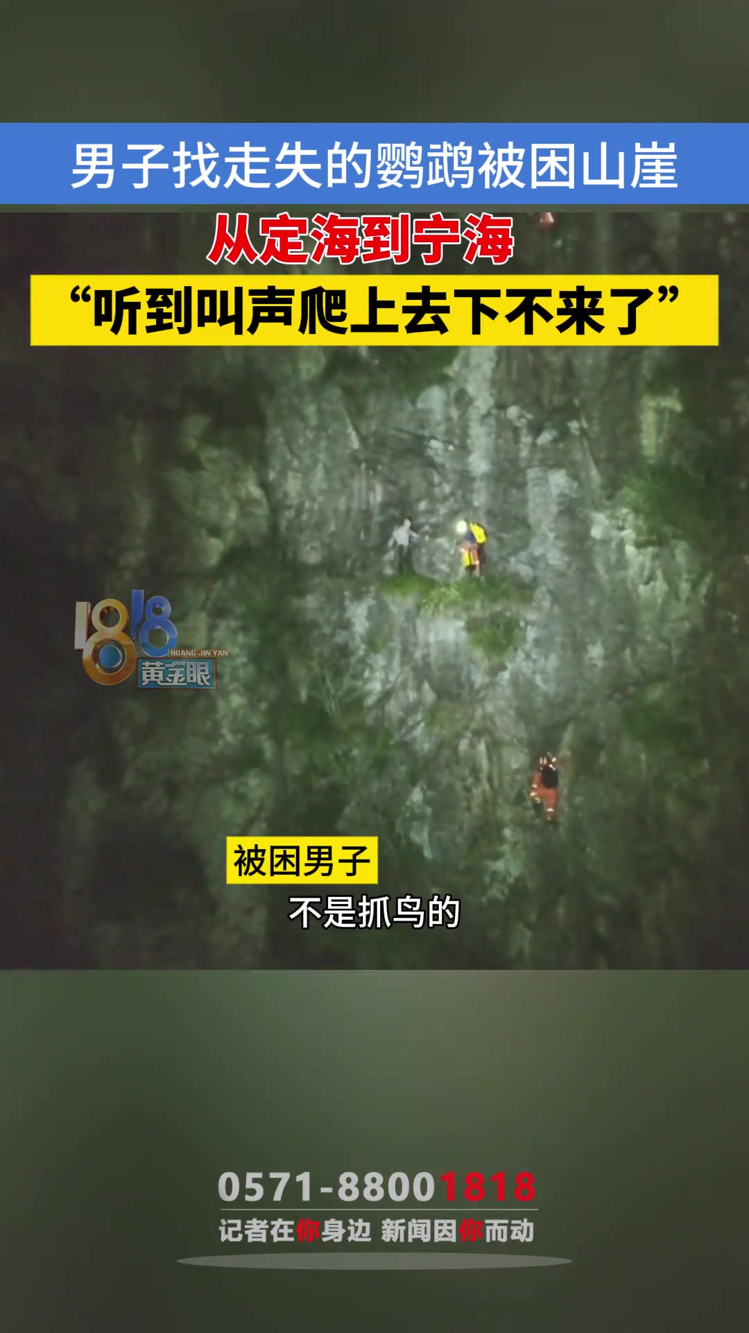 男子得知自己的鹦鹉飞走了从定海跑到宁海爬上山崖结果下不来了