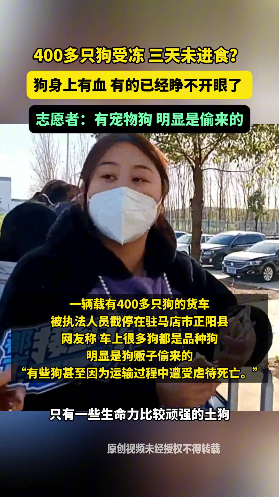 400多只狗受冻三天未进食?狗身上有血有的已经睁不开眼了！