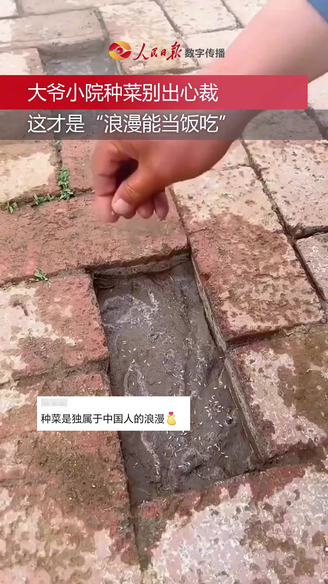 这才是“浪漫能当饭吃”，网友：这种的不是菜，是心情