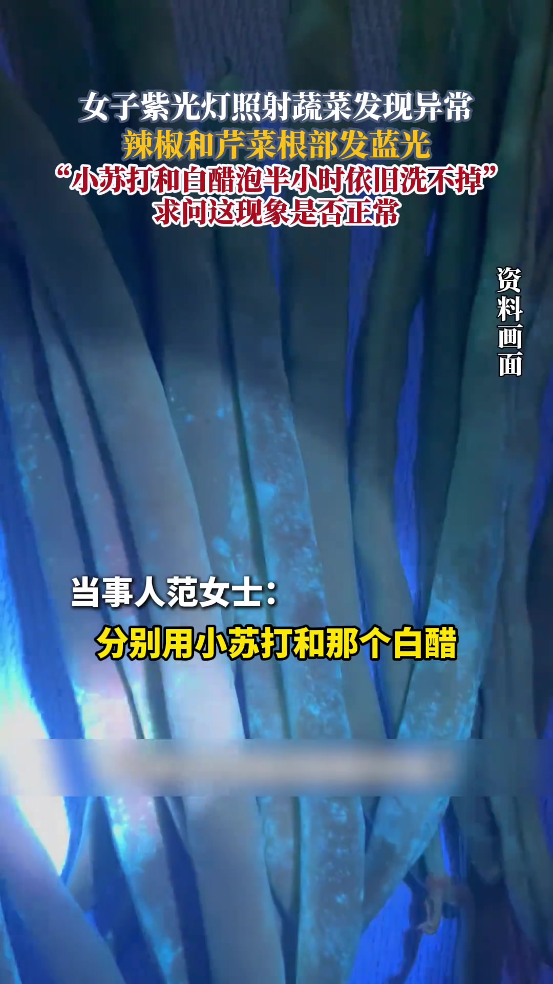 女子紫光灯照射蔬菜发现异常，辣椒和芹菜根部发蓝光