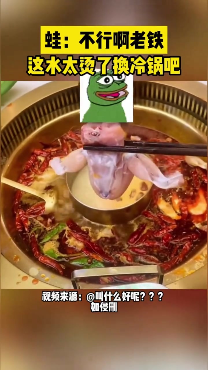 蛙：不行啊老铁这水太烫了换冷锅吧