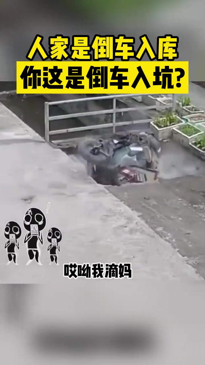 人家是倒车入库你这是倒车入坑