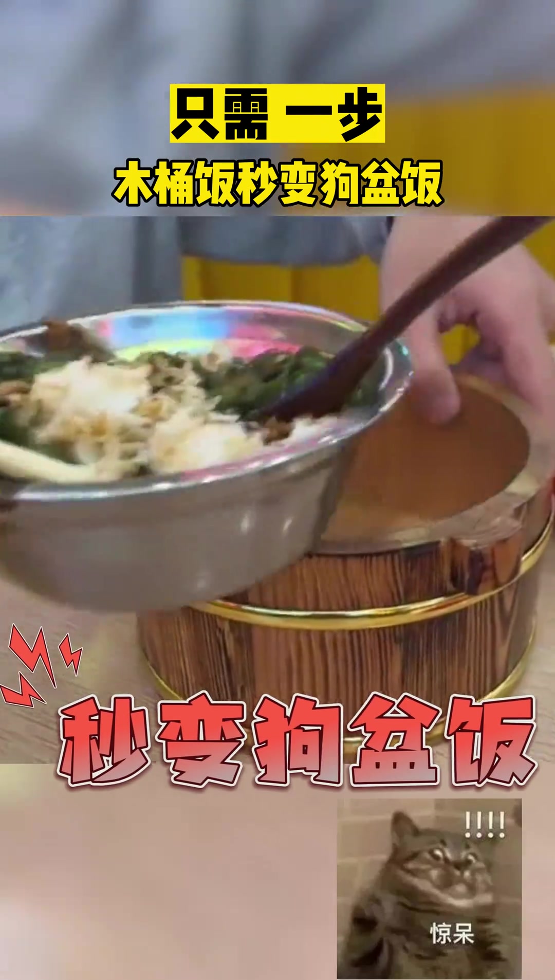 只需要一步木桶饭秒变狗盆饭