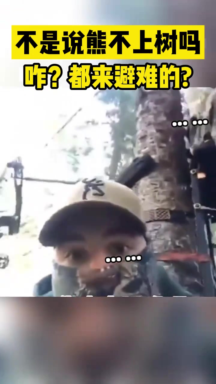 不是说熊不会上树吗咋都是来避难的