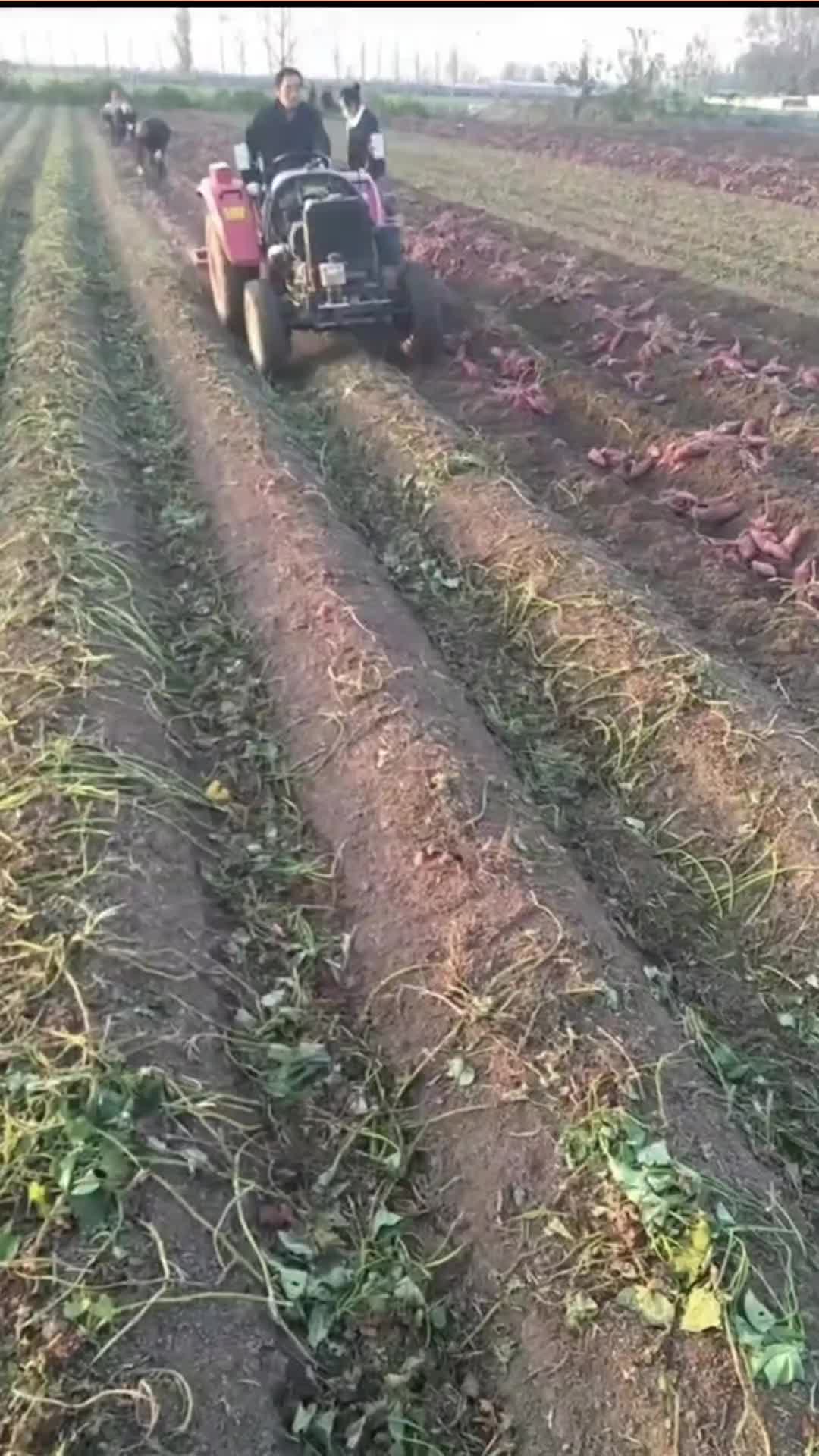 这样翻会有损坏吗