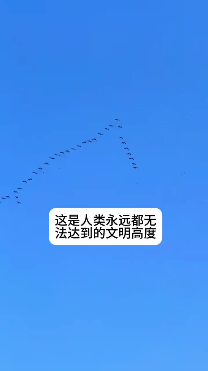 领头雁直面顶气流，后面的的躲气流，几个小时一换！