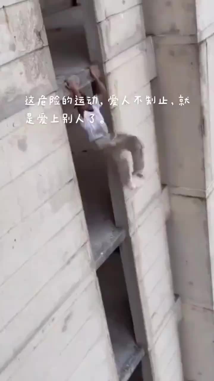 我坐电梯都没有你快啊！