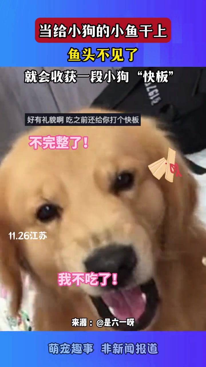 当给小狗的小鱼干上脑袋不见了