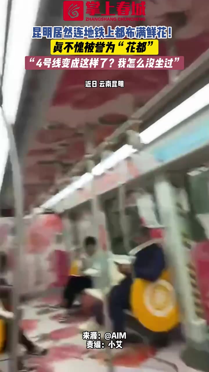 昆明居然连地铁上都布满鲜花！真不愧被誉为“花都”