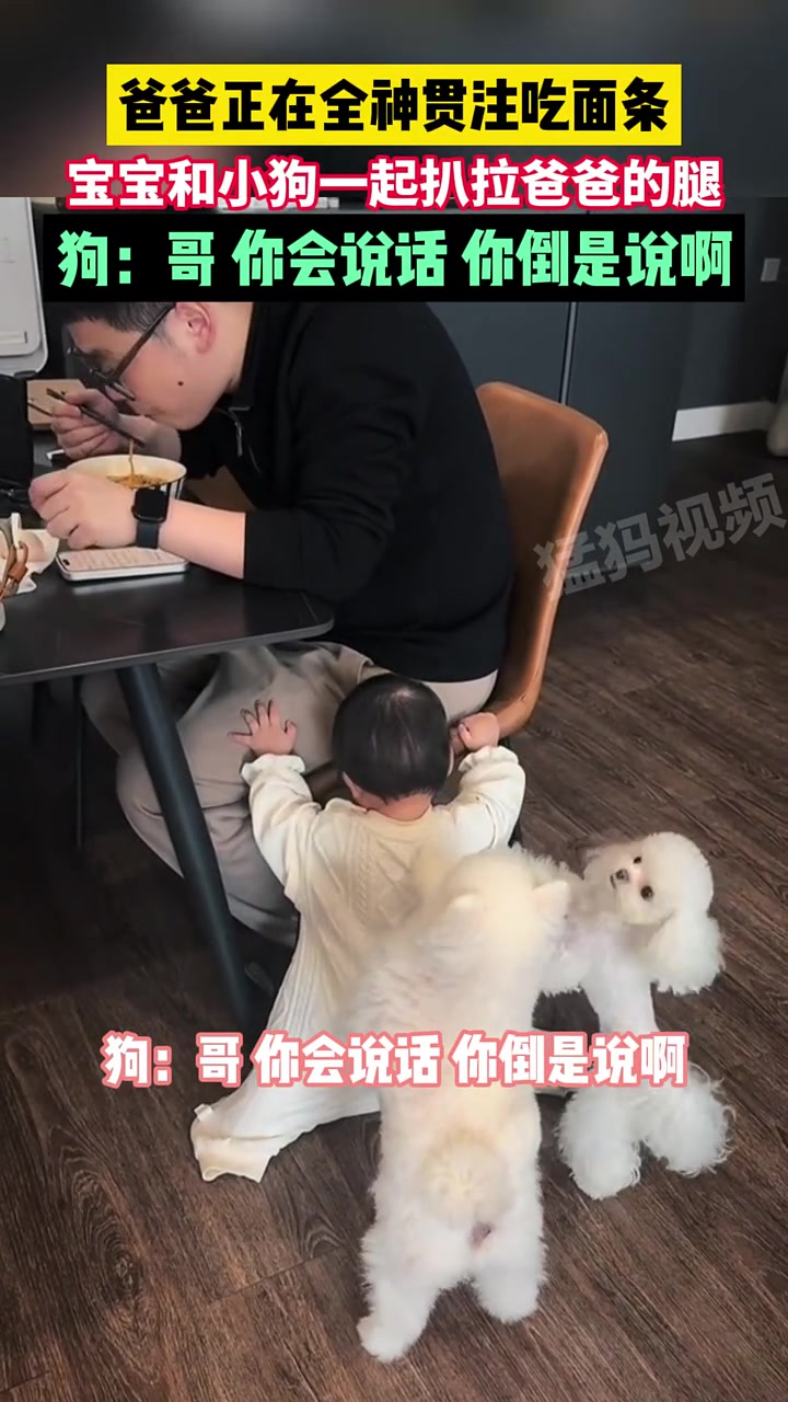 爸爸正在全神贯注吃面条，宝宝和小狗一起扒拉爸爸的腿