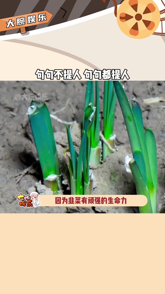 原来是说韭菜啊句句不提人句句指向人