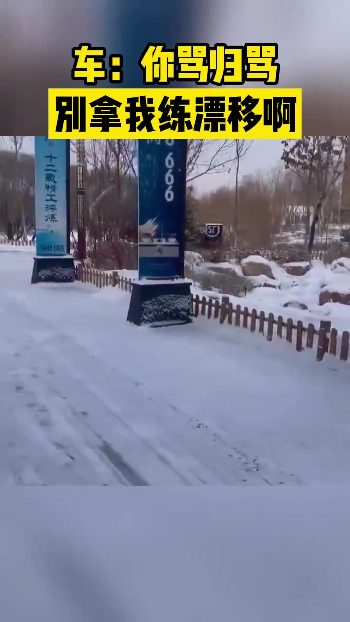 车：你骂归骂别拿我漂移啊