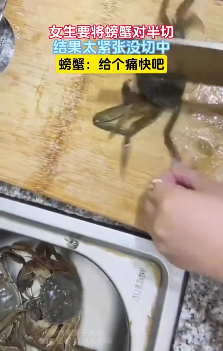 螃蟹：给我个痛快吧，谢谢你了