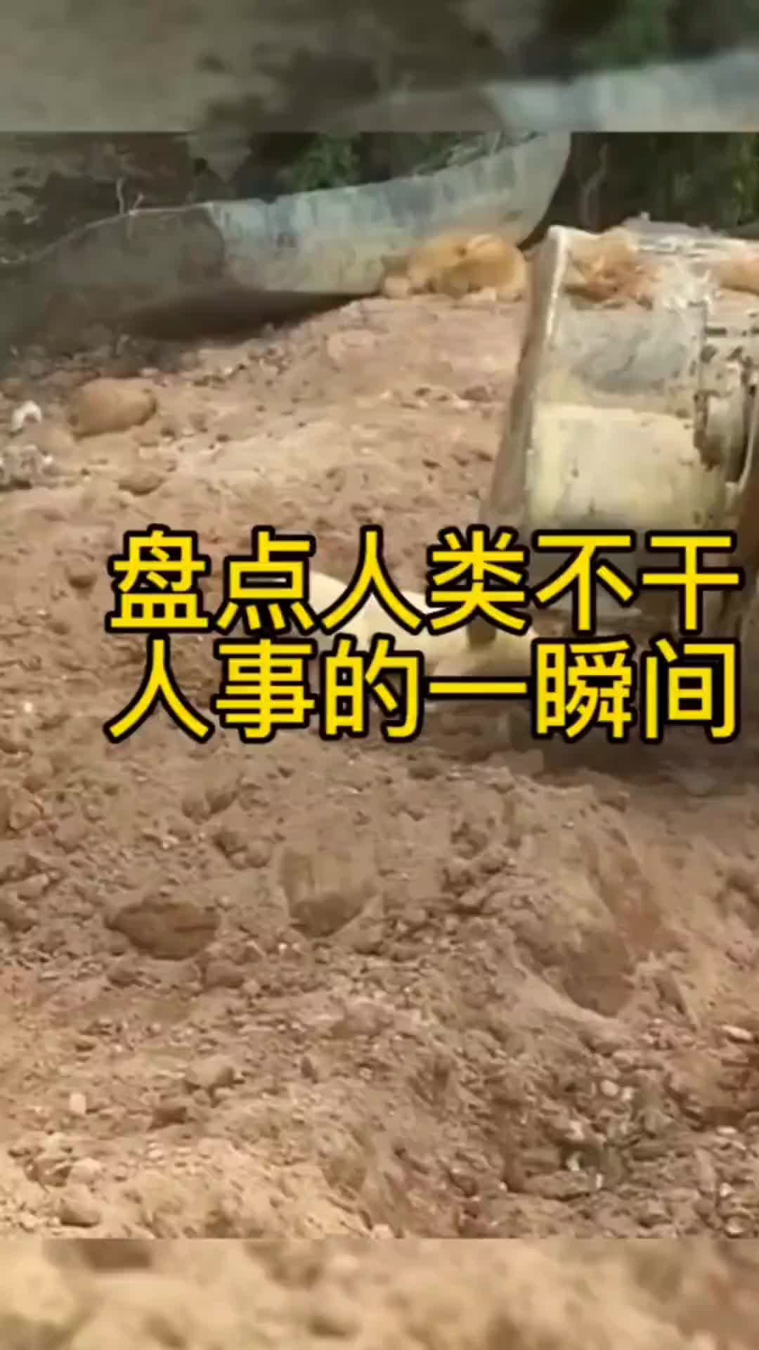 上班时间不要跟同事开玩笑！