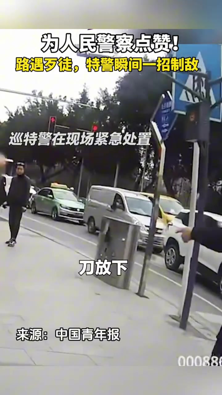 路遇歹徒，特警瞬间一招制敌！！！