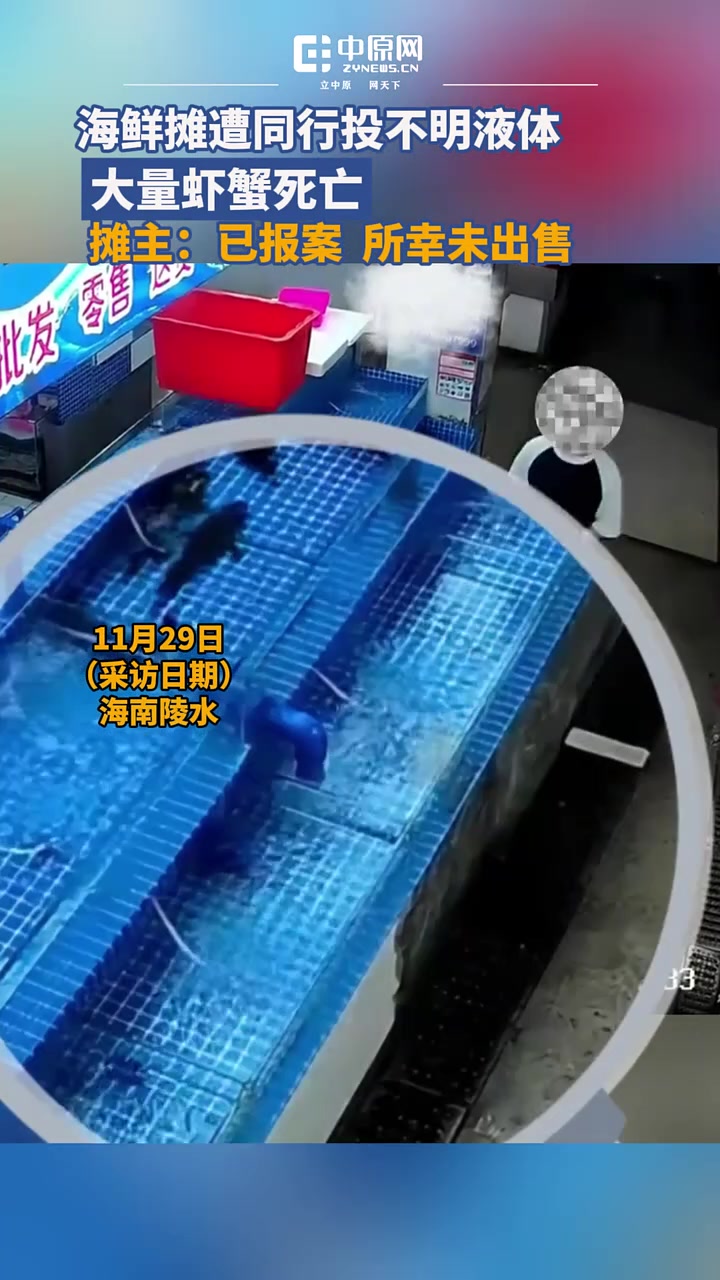 一海鲜档口遭同行投放不明液体，导致大量海鲜死亡！！