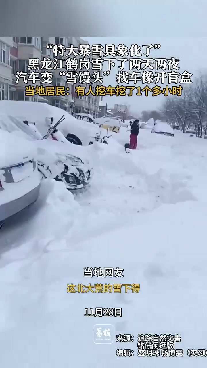 特大暴雪具象化了”黑龙江鹤岗雪下了两天两夜汽车变身“雪馒头