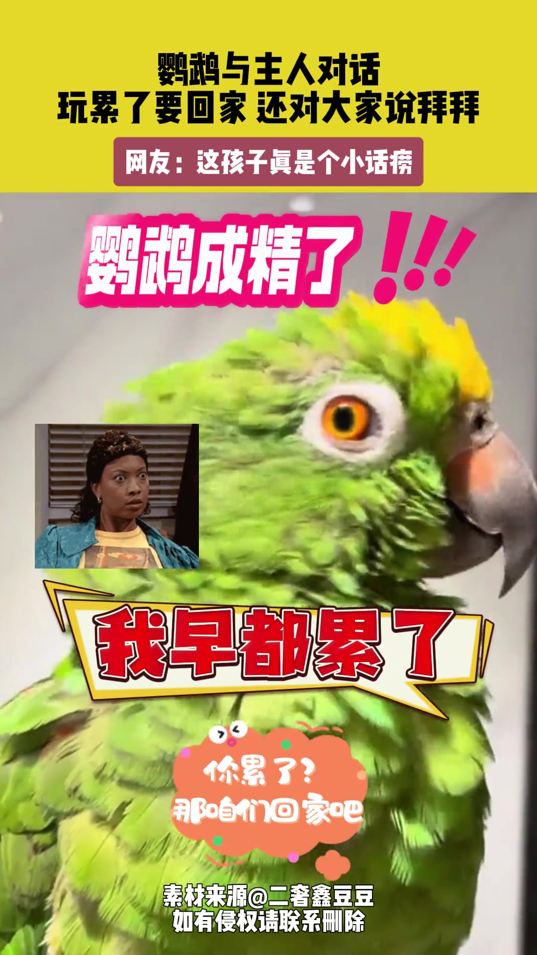 鹦鹉与主人对话，玩累了要回家还对大家说拜拜