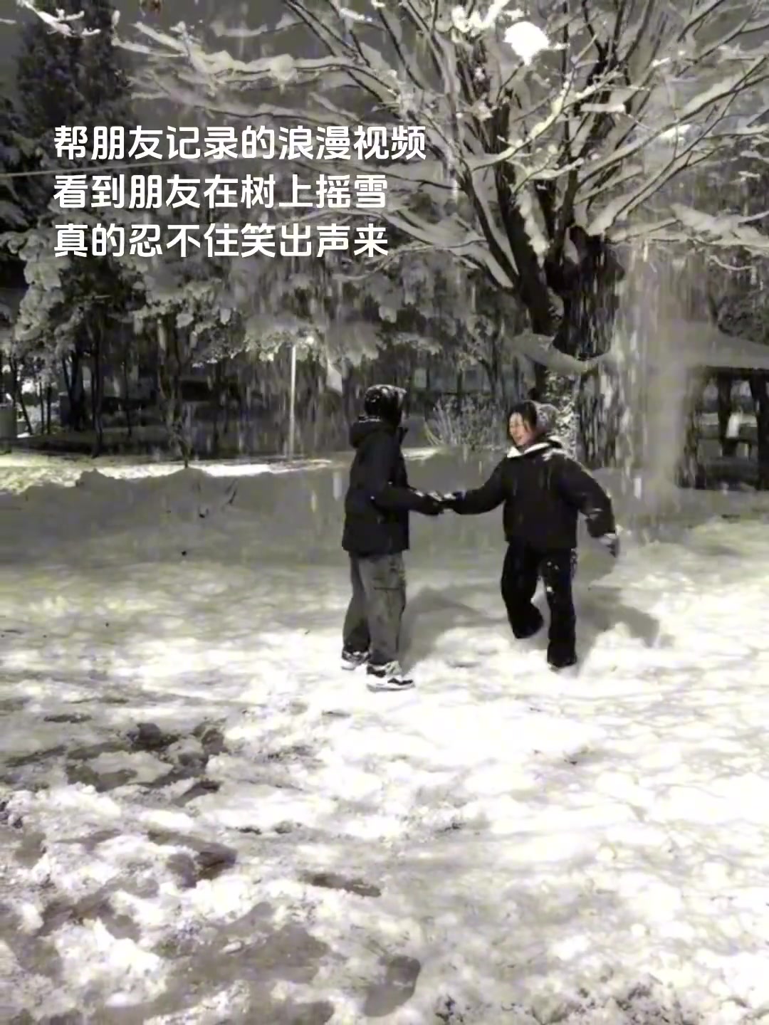 树底下的两人有多浪漫！树上的“猴”就有多孤单