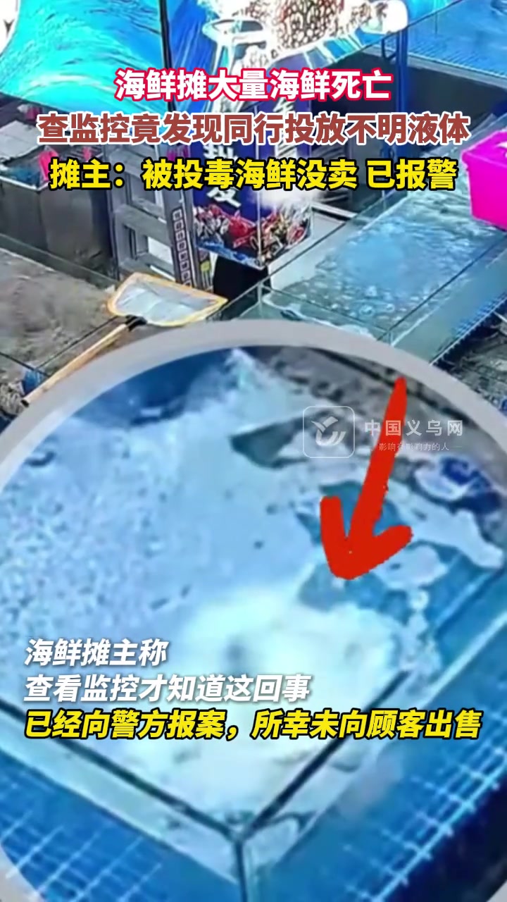 海鲜摊大量海鲜死亡，查监控竟发现同行投放不明液体
