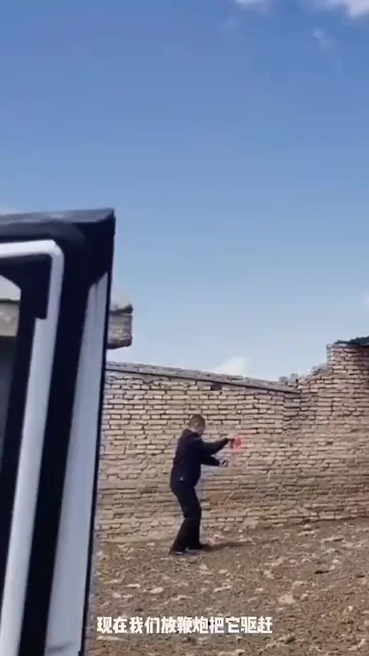 这朝我跑过来我也慌啊！