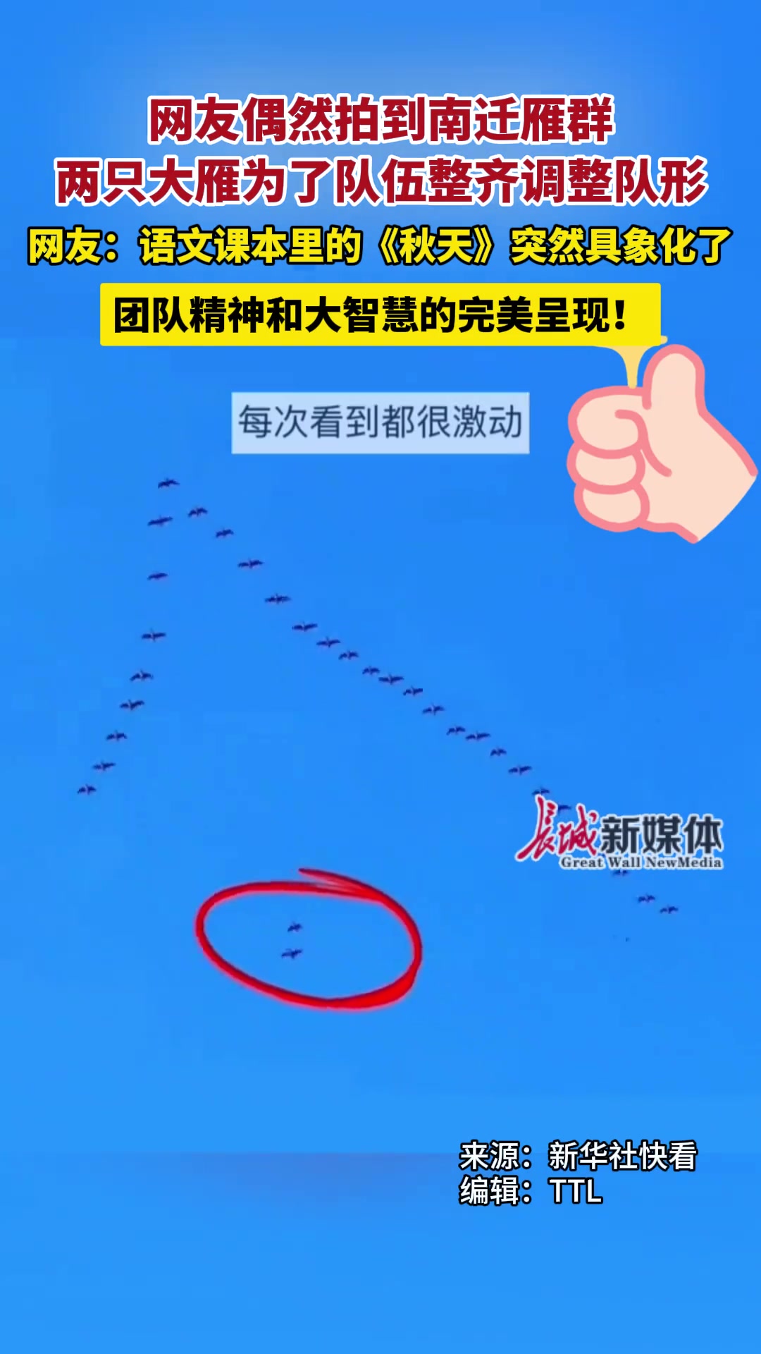 大自然真的很神奇